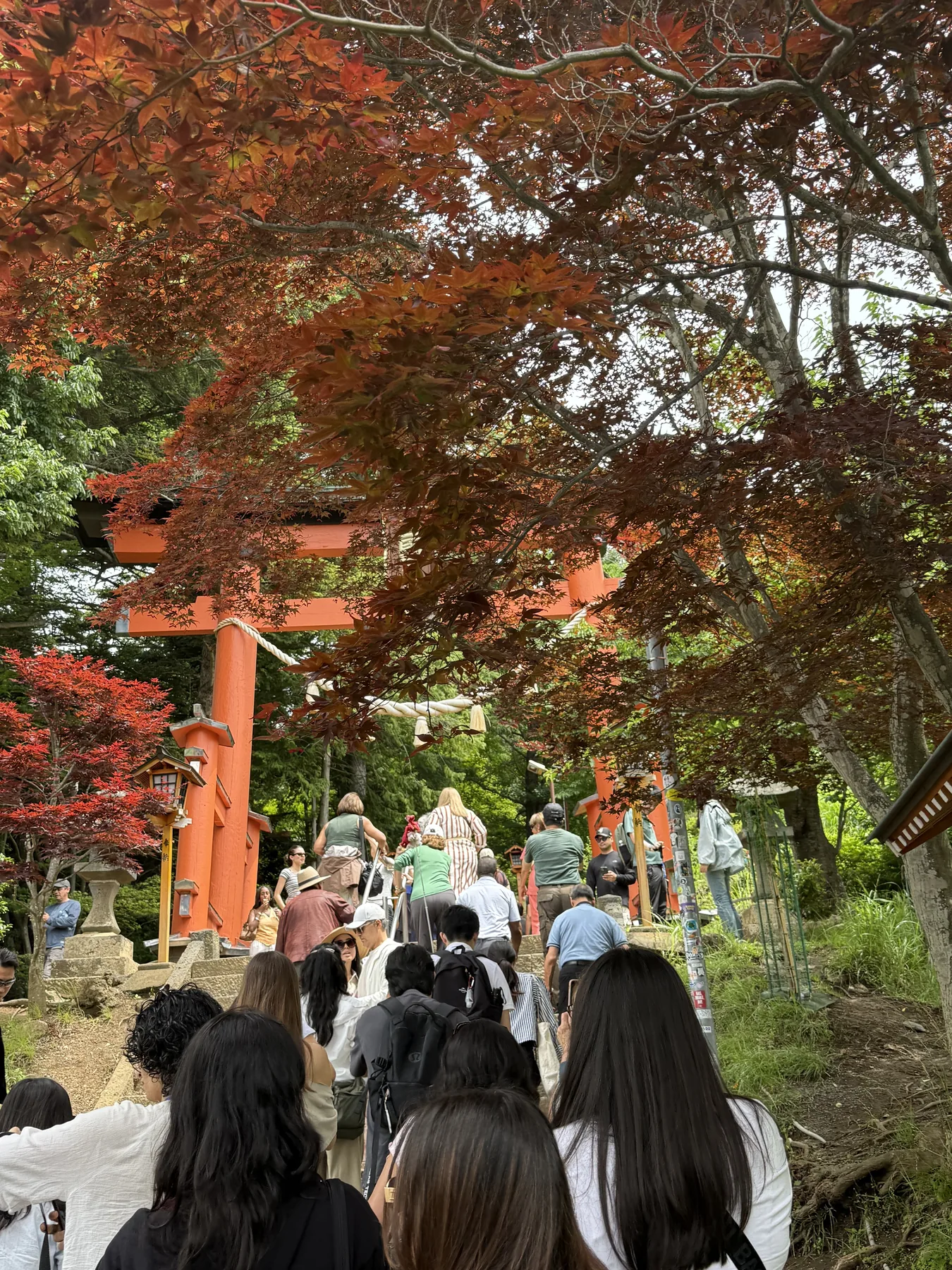 COPE Health Scholars at the Japan International Intensive in Tokyo